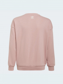 Свитшот Adidas Graphics модель HC4559 Фото