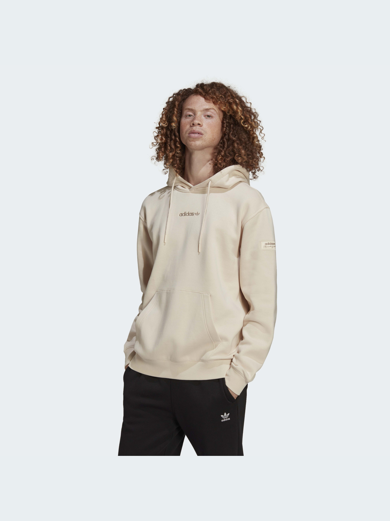 Худи и свитшоты Adidas модель HM2654 Фото