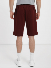 Повседневные шорты Promin модель 1090-10.2_248 Фото