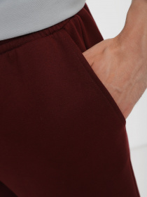 Повседневные шорты Promin модель 1090-10.2_248 Фото