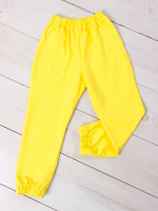 Джоггеры Носи своє модель 6060-057-5-limon Фото