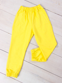 Джоггеры Носи своє модель 6060-057-5-limon Джоггеры Носи своє модель 6060-057-5-limon Фото