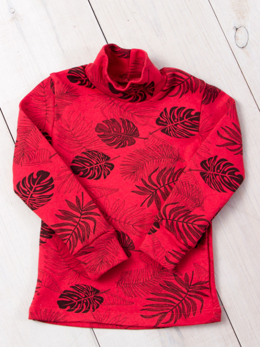 Водолазка Носи своє модель 6068-063V-listq-cher Фото