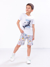 Шорты Носи своє модель 6091-002-awe-some-srij Фото