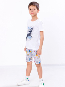 Повседневные шорты Носи своє модель 6091-002-awe-some-srij Фото