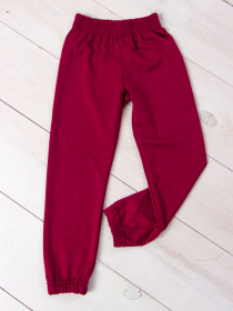 Джоггеры Носи своє модель 6155-057-5-bordovij Фото