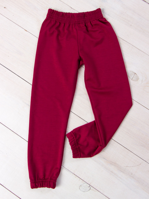 Джоггеры Носи своє модель 6155-057-5-bordovij Фото