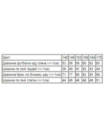 Спортивный костюм Носи своє модель 6264-057-grchicq-chornij Фото