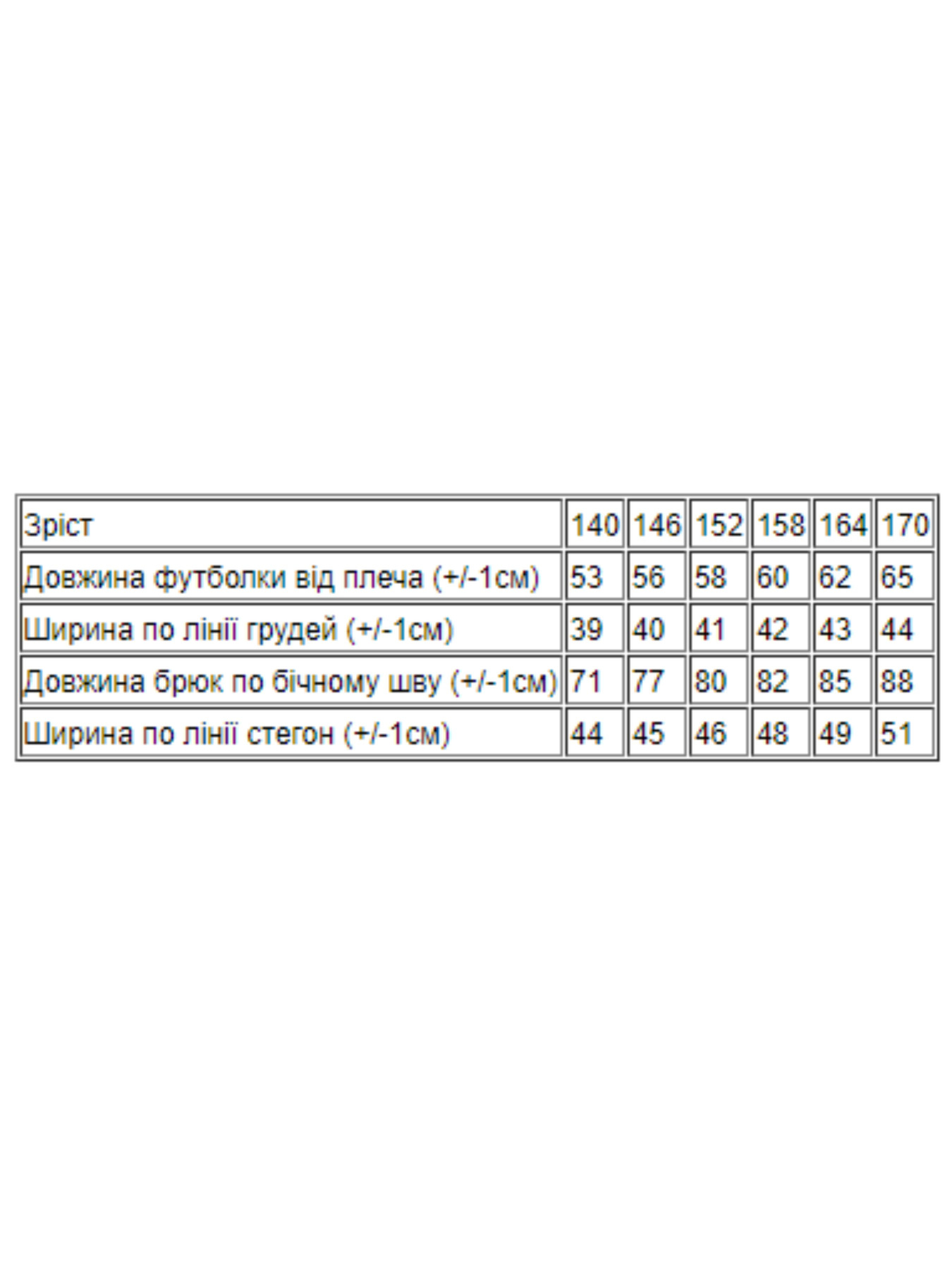 Спортивный костюм Носи своє модель 6264-057-temno-bryuzovij-chornij Фото