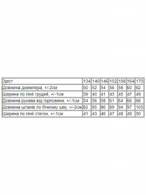 Костюм Носи своє модель 6312-025-33-1-chornij Фото