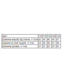 Футболка Носи своє модель 6333-001-33-1-fuksq-cool Фото