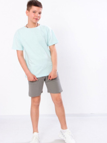 Шорты Носи своє модель 6377-057-1-svtlij-graft Фото