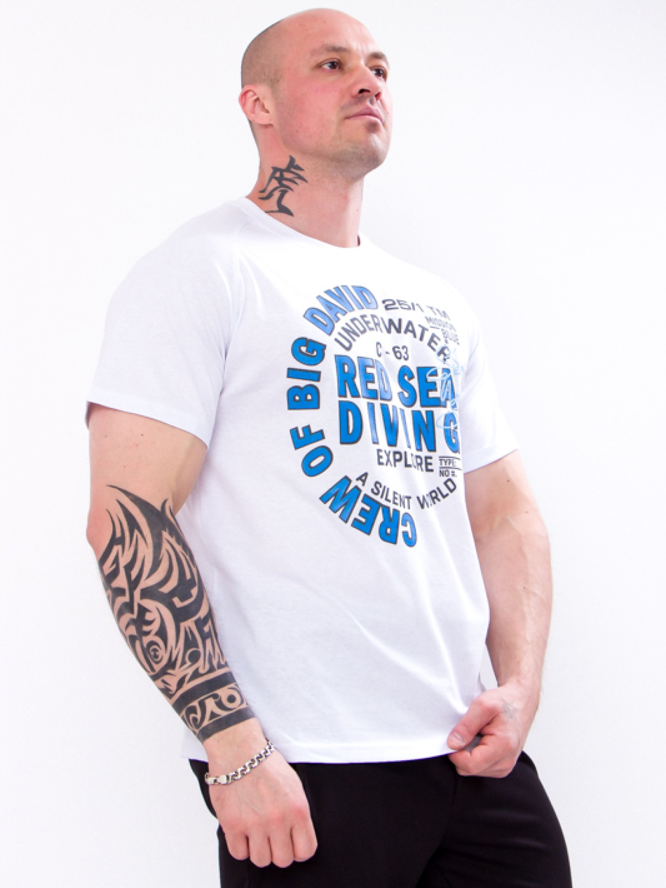 Футболка Носи своє модель 8010-001-33-2-blij Фото