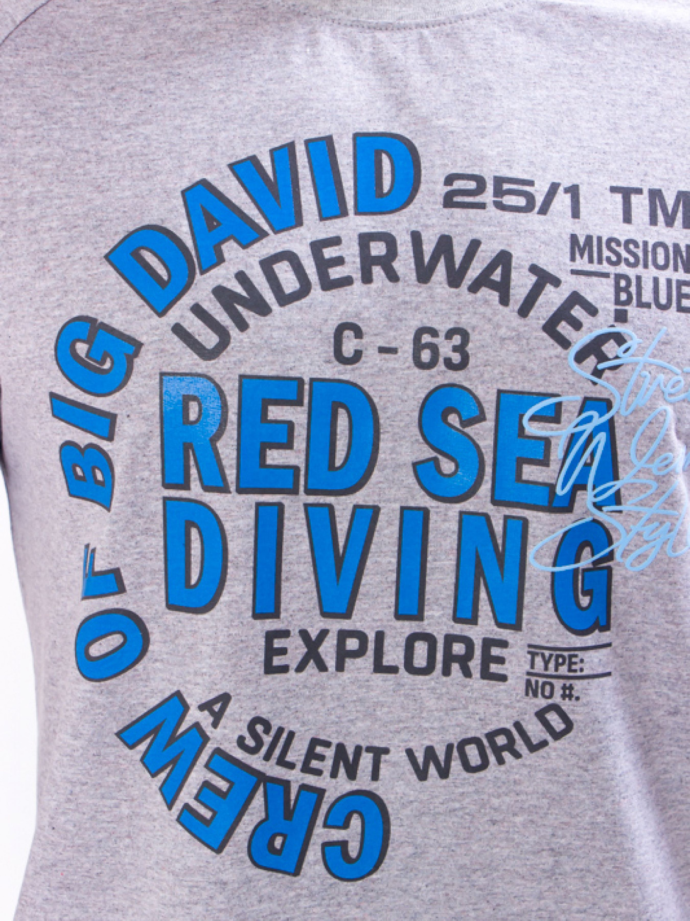 Футболка Носи своє модель 8010-001-33-2-srij Фото