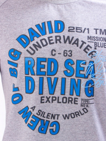 Футболка Носи своє модель 8010-001-33-2-srij Фото