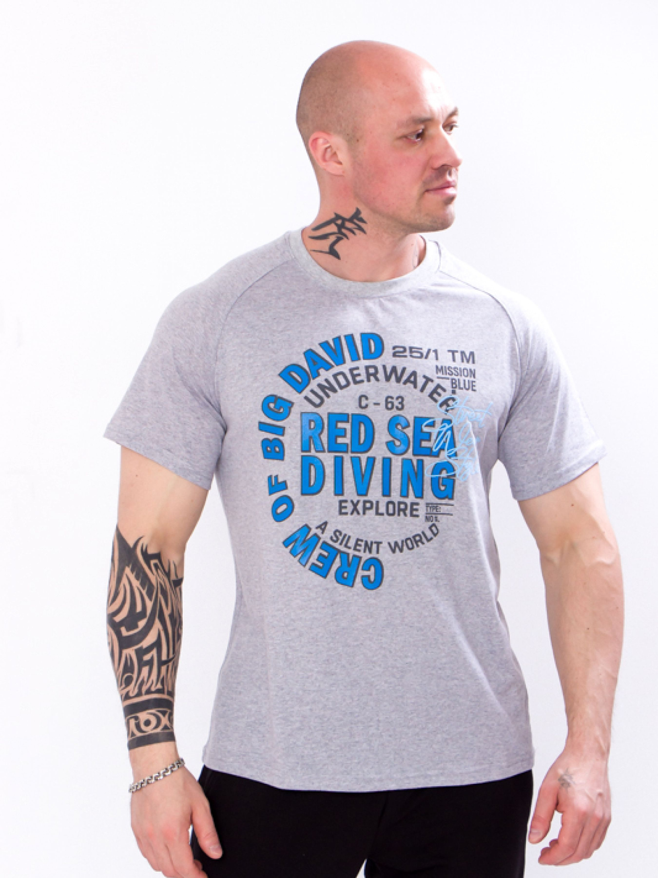 Футболка Носи своє модель 8010-001-33-2-srij Фото