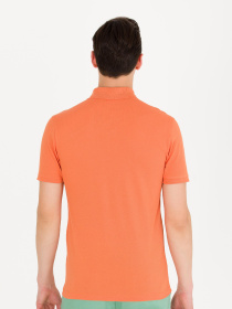 Поло US Polo модель USPAINT.1570718.VR031 Фото