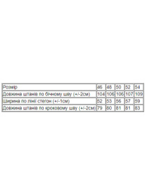 Джоггеры Носи своє модель 8158-057-33-sinj Фото