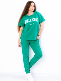 Спортивный комплект Носи своє модель 8281-057-33-bryuzova-perlina Фото