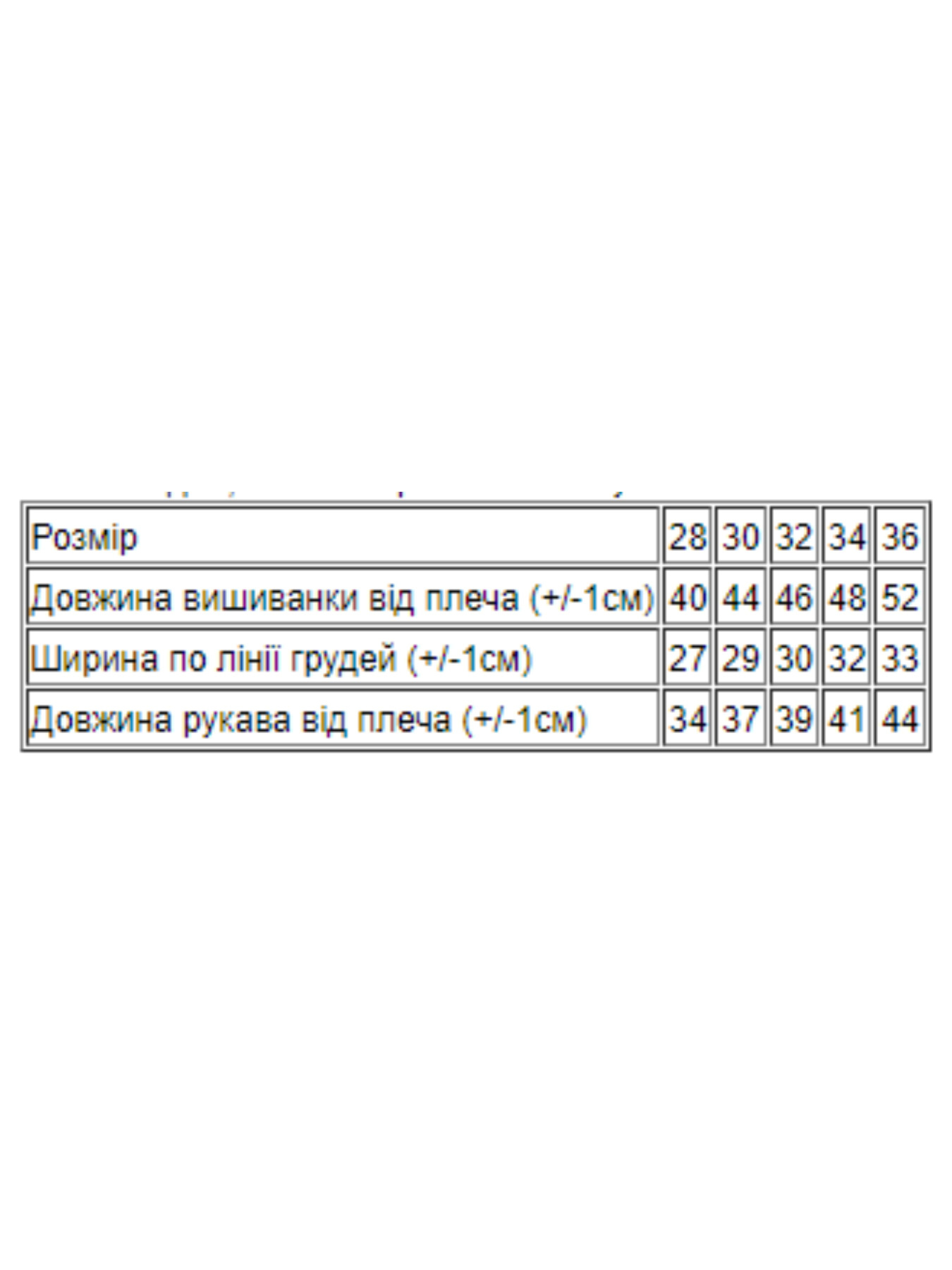 Вышитая рубашка Носи своє модель 9943-015-22v-blakitnij Фото