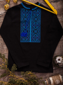 Вышитая рубашка Носи своє модель 9943-015-22v-blakitnij Фото