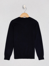 Джемпер US Polo модель G083SZ0TK.000.877703.VR033 Фото