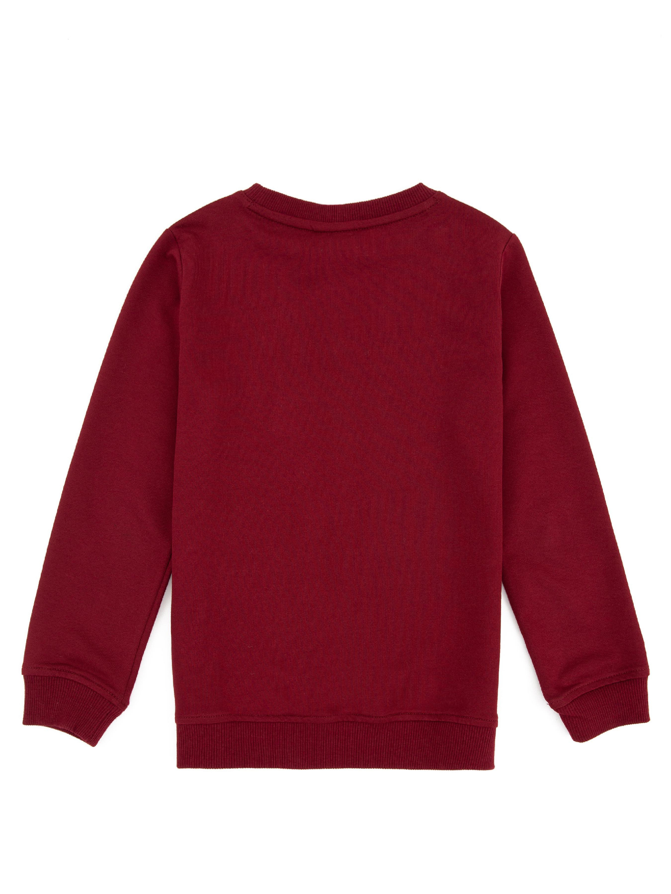 Світшот US Polo модель G083SZ082.000.1259385.VR014 Фото