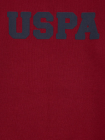 Світшот US Polo модель G083SZ082.000.1259385.VR014 Фото