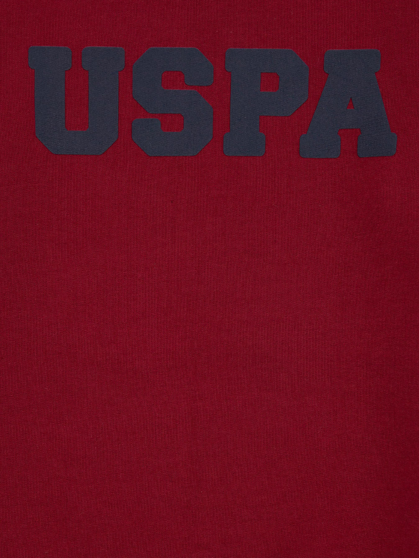 Світшот US Polo модель G083SZ082.000.1259385.VR014 Фото