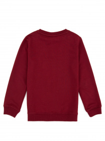 Світшот US Polo модель G083SZ082.000.1259385.VR014 Фото