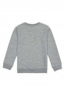 Свитшот US Polo модель G083SZ082.000.1259385.VR086 Свитшот US Polo модель G083SZ082.000.1259385.VR086 Фото