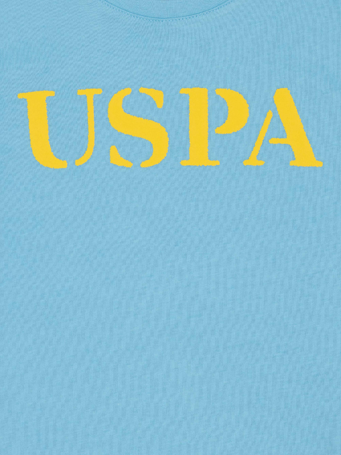 Футболка US Polo модель G083SZ011.000.1423546.VR093 Фото