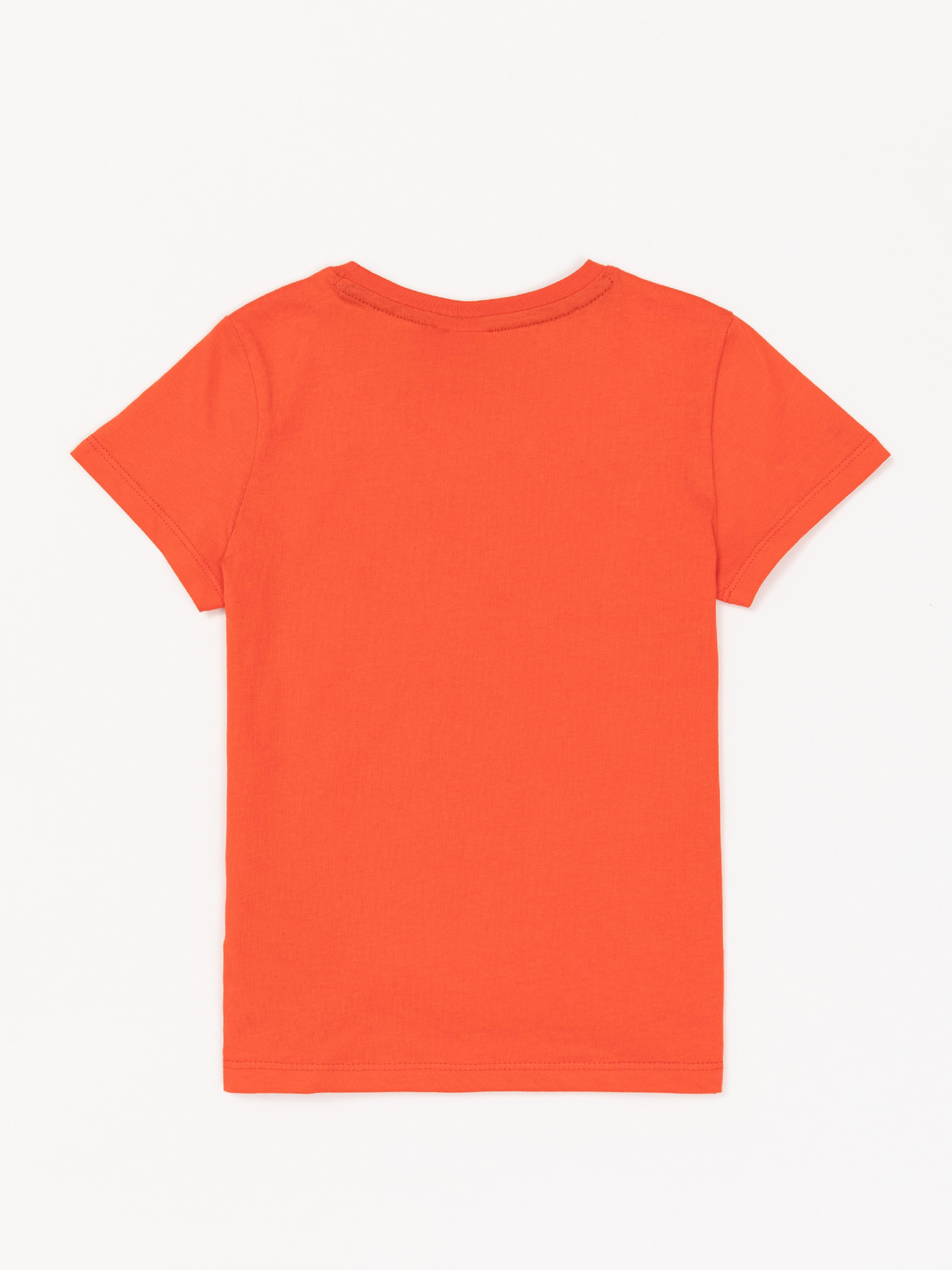 Футболка US Polo модель G083SZ011.000.1423546.VR213 Фото