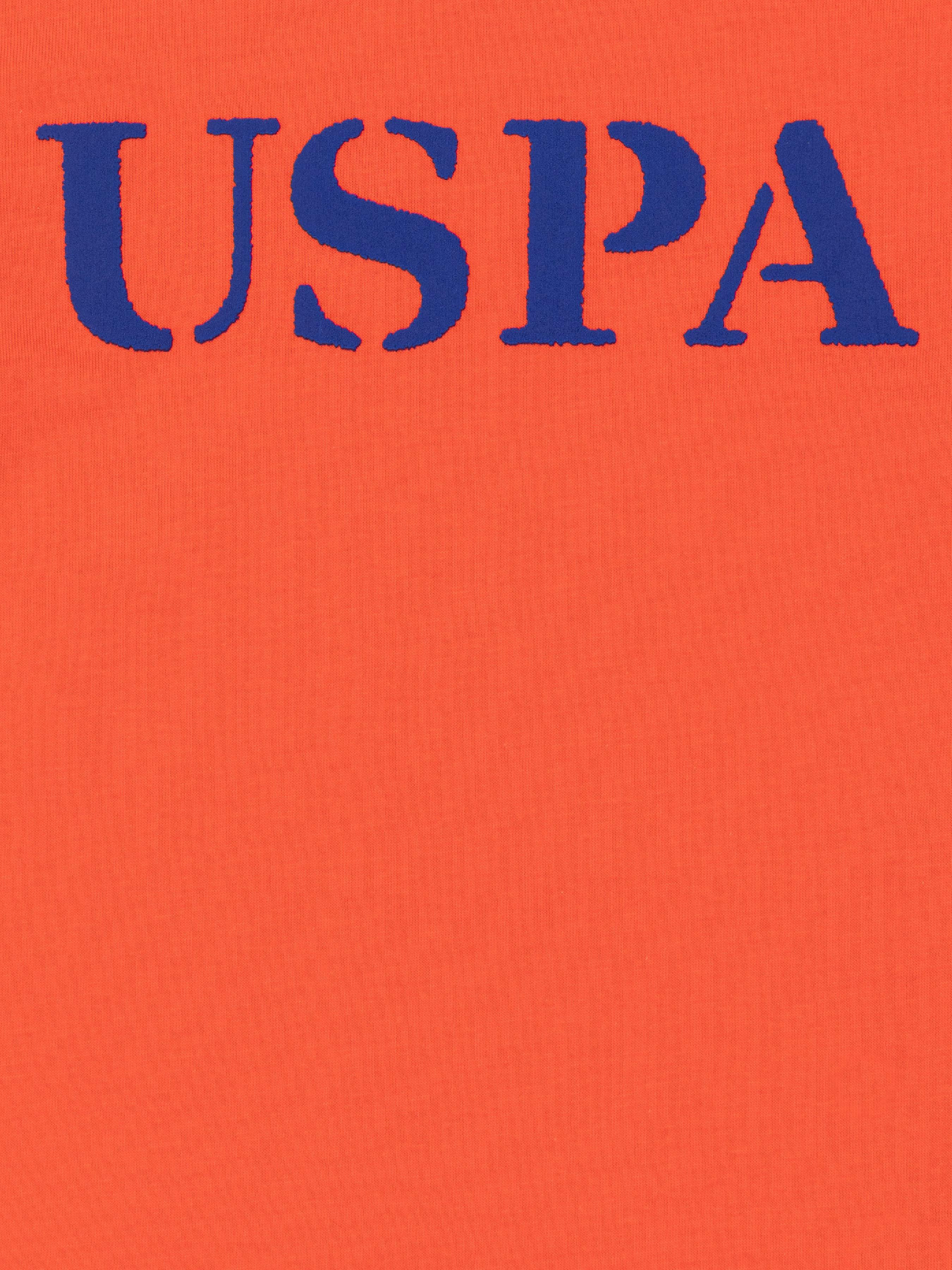 Футболка US Polo модель G083SZ011.000.1423546.VR213 Фото