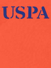 Футболка US Polo модель G083SZ011.000.1423546.VR213 Фото