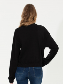 Джемпер US Polo модель G082SZ082.000.1497274.VR046 Фото