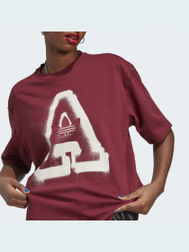 Футболка Adidas Graphics модель IC5245 Фото