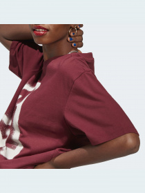 Футболка Adidas Graphics модель IC5245 Фото