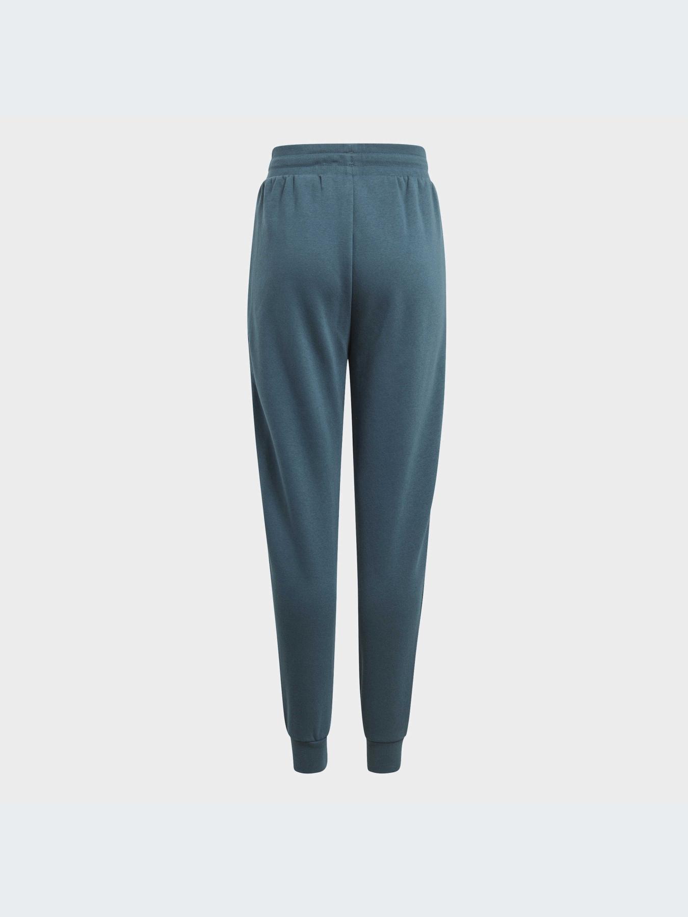 Штани спортивні Adidas модель IJ9798 Фото