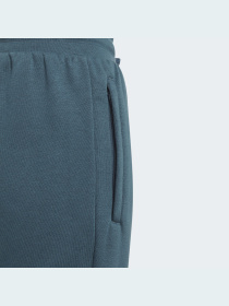 Спортивні штани Adidas модель IJ9798 Фото