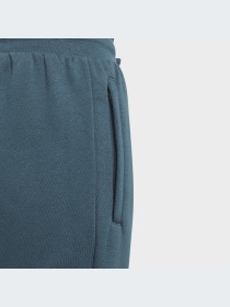 Спортивні штани Adidas модель IJ9798 Фото