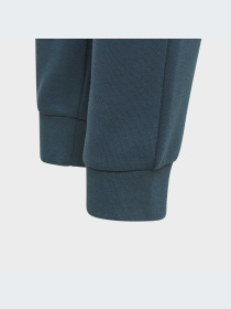 Спортивні штани Adidas модель IJ9798 Фото