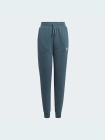 Спортивні штани Adidas модель IJ9798 Фото