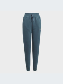 Спортивні штани Adidas модель IJ9798 Фото