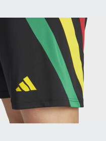 Шорты спортивные Adidas модель IK5736 Фото