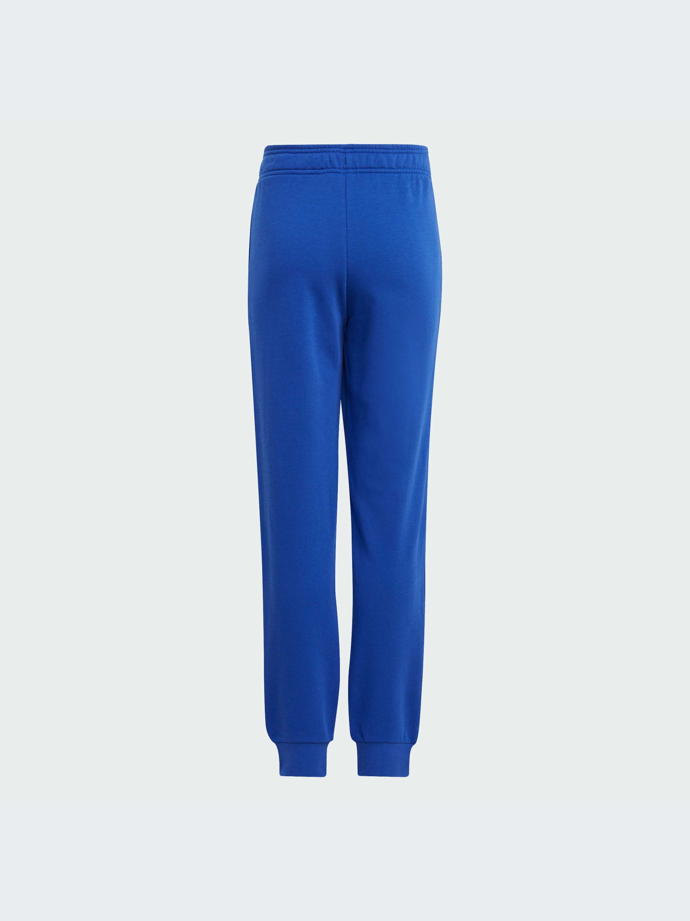 Джоггеры Adidas модель IJ6301 Фото