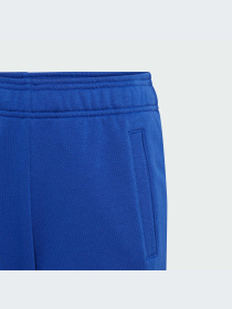 Джоггеры Adidas модель IJ6301 Фото