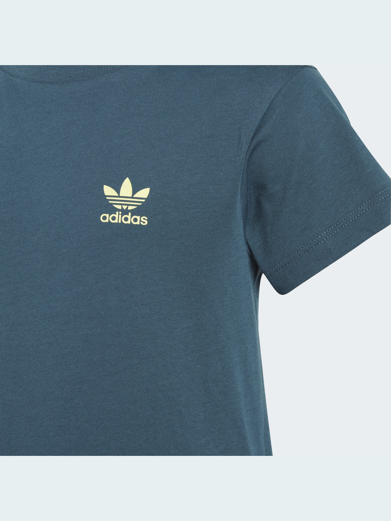 Футболка Adidas Adicolor модель IJ7209 Фото