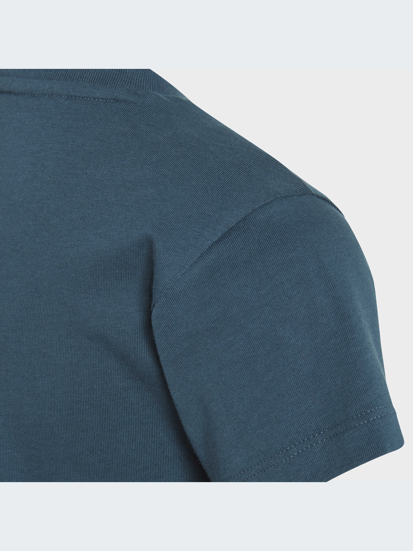 Футболка Adidas Adicolor модель IJ7209 Фото