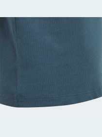 Футболка Adidas Adicolor модель IJ7209 Футболка Adidas Adicolor модель IJ7209 Фото